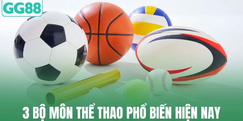 3 Bộ môn thể thao phổ biến hiện nay