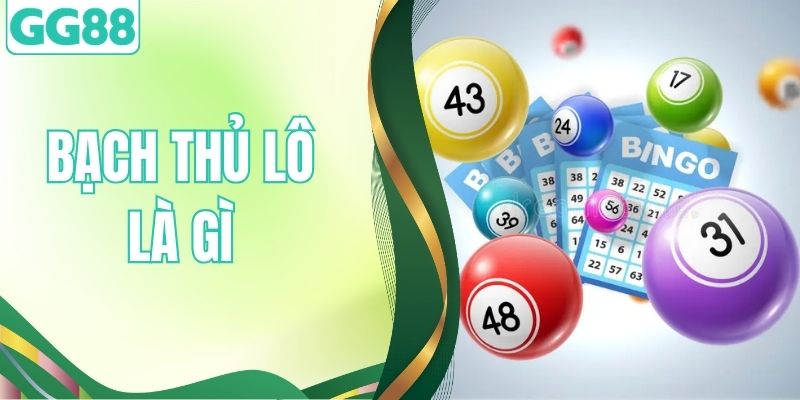 Bạch Thủ Lô Là Gì? Tất Tần Tật Thông Tin Mới Nhất Năm 2026