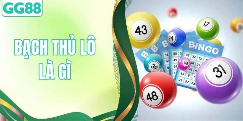 Bạch Thủ Lô Là Gì? Tất Tần Tật Thông Tin Mới Nhất Năm 2026