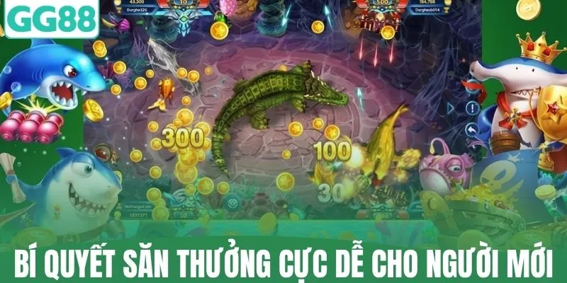 Bí quyết săn thưởng cực dễ cho người mới