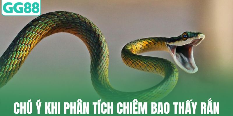 Chú ý khi phân tích chiêm bao thấy rắn
