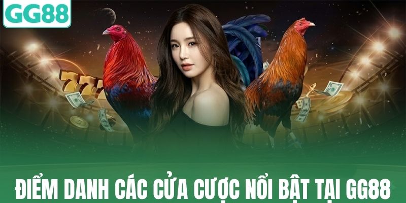 Điểm danh các cửa cược nổi bật tại đá gà Thomo