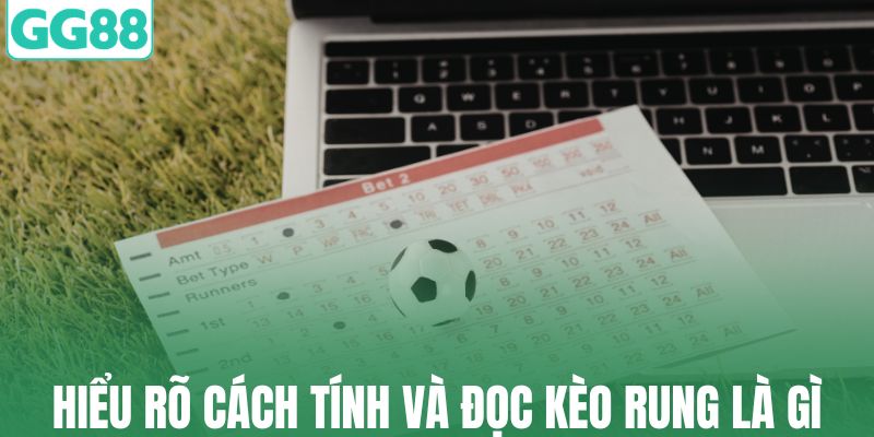 Hiểu rõ cách tính và đọc kèo rung là gì
