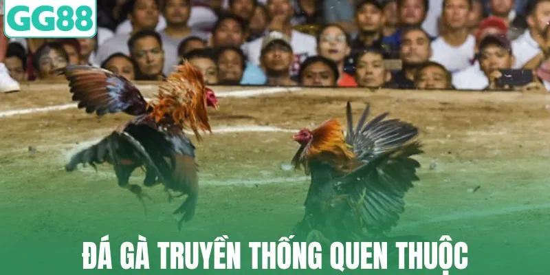 Hình thức đá gà truyền thống quen thuộc