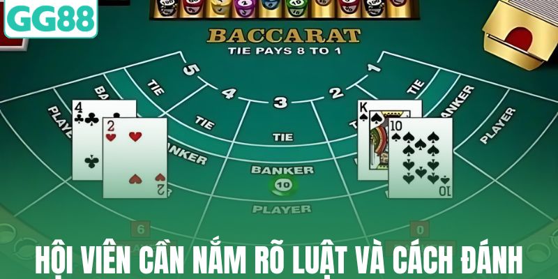 Hội viên cần nắm rõ luật và cách đánh Baccarat