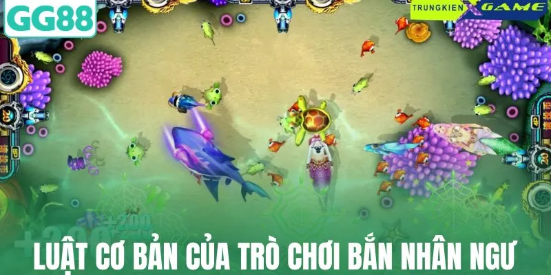 Luật cơ bản của trò chơi bắn nhân ngư