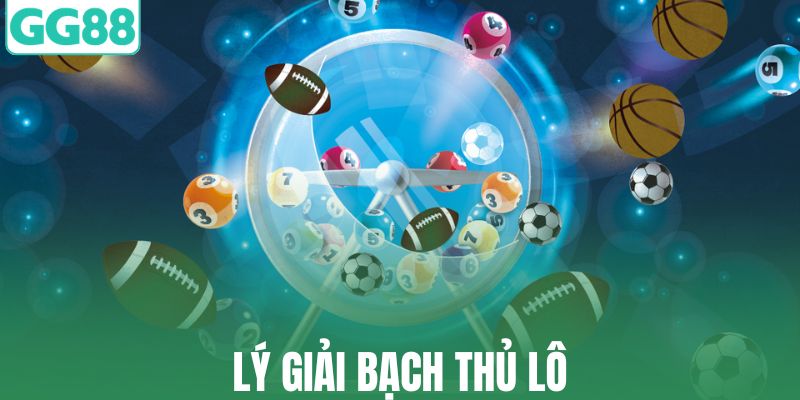 Lý giải bạch thủ lô là gì