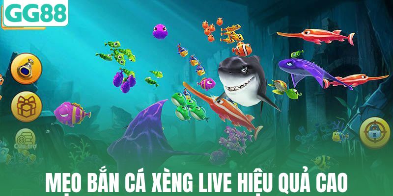 Mẹo bắn cá xèng live hiệu quả cao