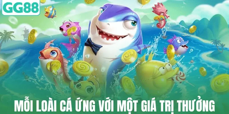 Nắm rõ đặc tính của các sinh vật đại dương