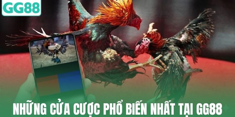 Những cửa cược phổ biến nhất tại GG88
