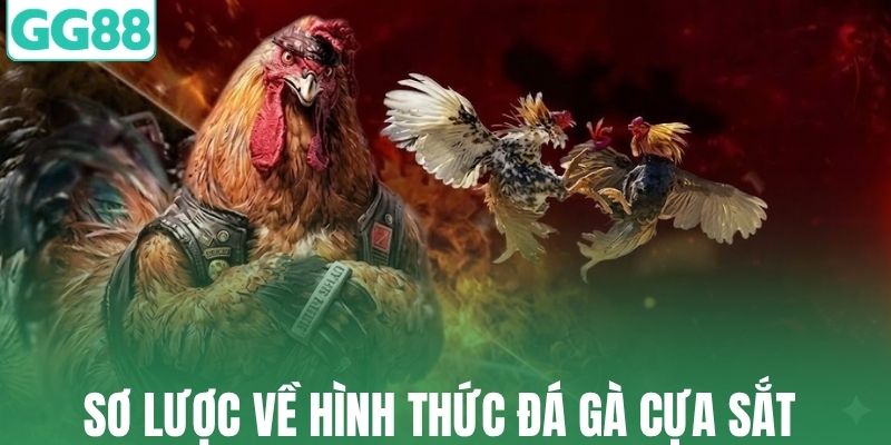 Sơ lược về hình thức đá gà cựa sắt đầy hấp dẫn