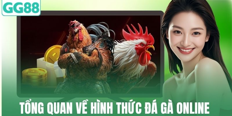 Tổng quan về hình thức đá gà online tại GG88