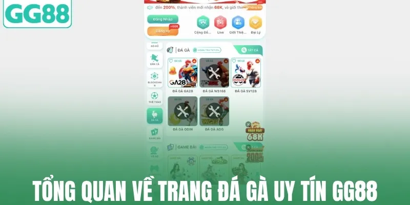 Tổng quan về trang đá gà uy tín GG88