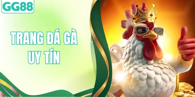 Trang Đá Gà Uy Tín GG88 Trực Tiếp Lịch Thi Đấu Mới Nhất